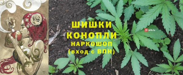 дмт Алзамай