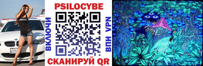 Купить  Рузаевка  Псилоцибиновые грибы Psilocybine cubensis 